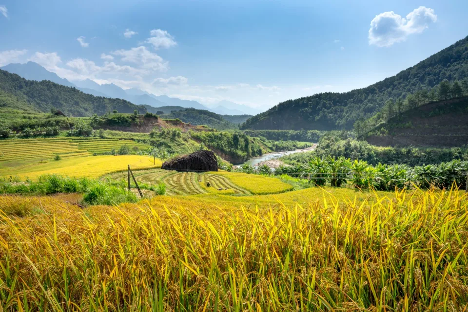 Kho gạo của Phạm Thị Bé